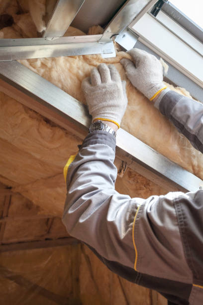 Best DIY Insulation Kits and Guidance in Walkersville, MD