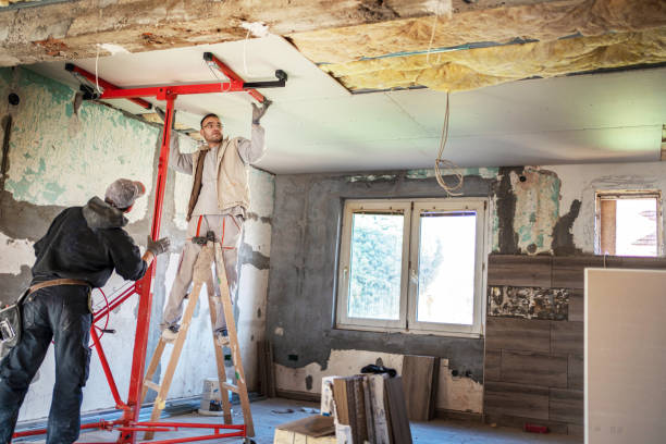 Best Residential Insulation in Walkersville, MD