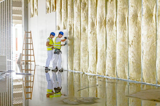 Best Fiberglass Insulation in Walkersville, MD
